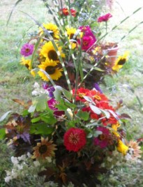 WilderHill Flowers cropped