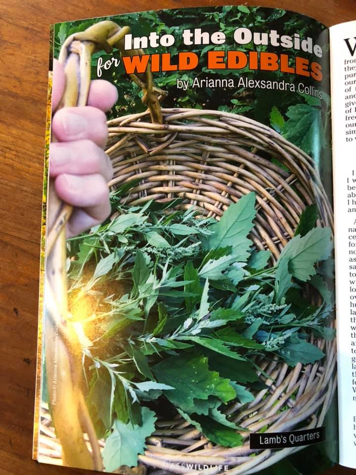 Into the Outside for Wild Edibles