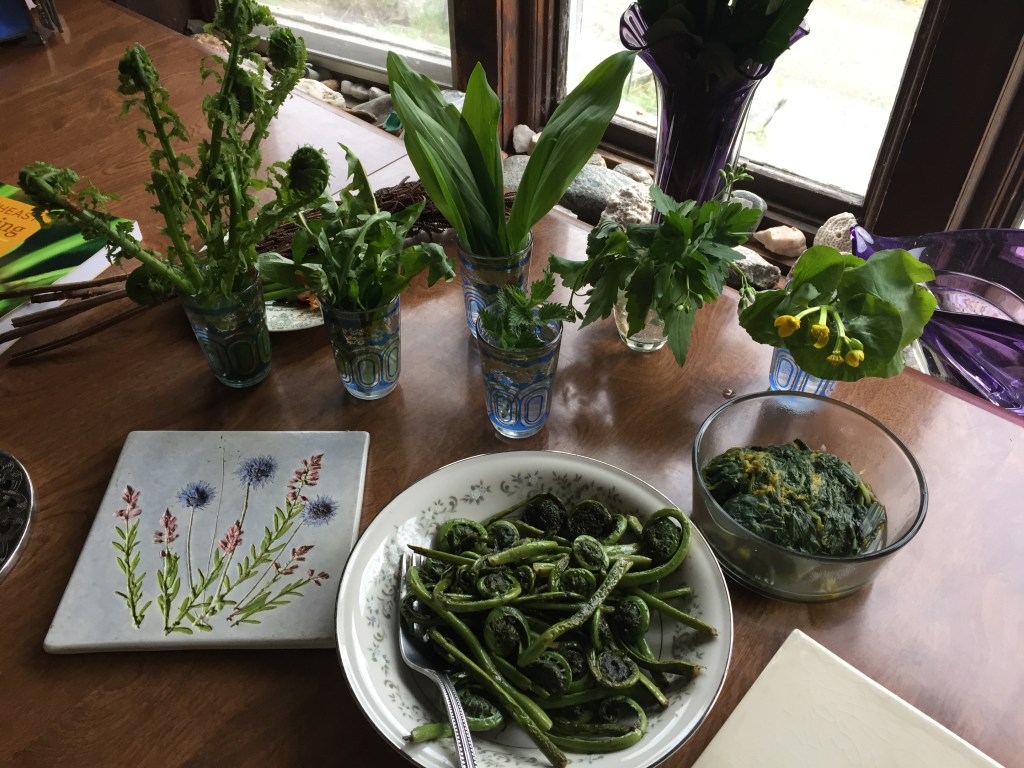 Spring wild edibles